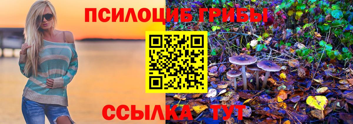 Псилоцибиновые грибы GOLDEN TEACHER  Вход с VPN  Нововоронеж  Галлюциногенные грибы Cubensis 